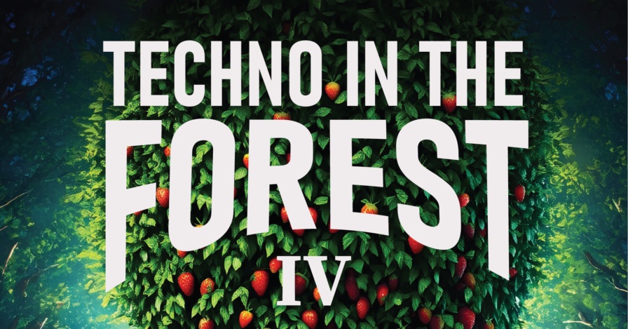 Techno in the Forest IV @ Kapavac (Čelić)