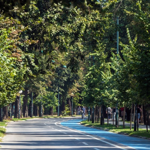 Vilsonovo šetalište