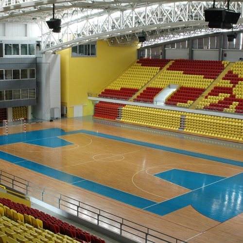 Boris Trajkovski Arena